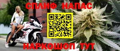 молекула духа Конаково