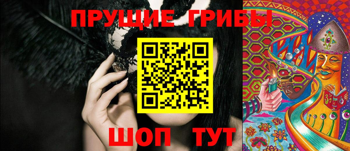 Псилоцибиновые грибы Cubensis Красноармейск