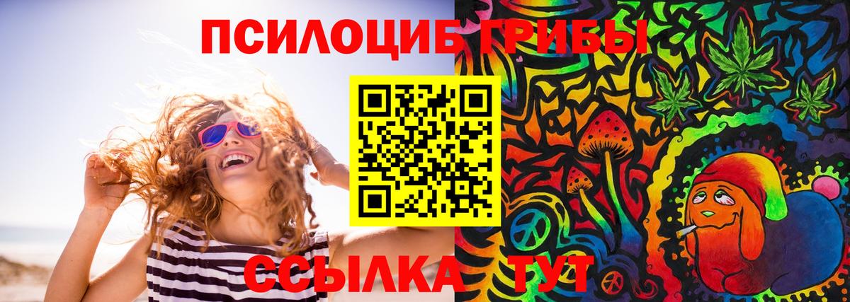Галлюциногенные грибы Psilocybe  где можно купить   Галлюциногенные грибы MAGIC MUSHROOMS  Красноармейск  Вход с VPN 